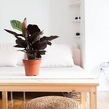 Apartment Lovely In The Heart Of *
